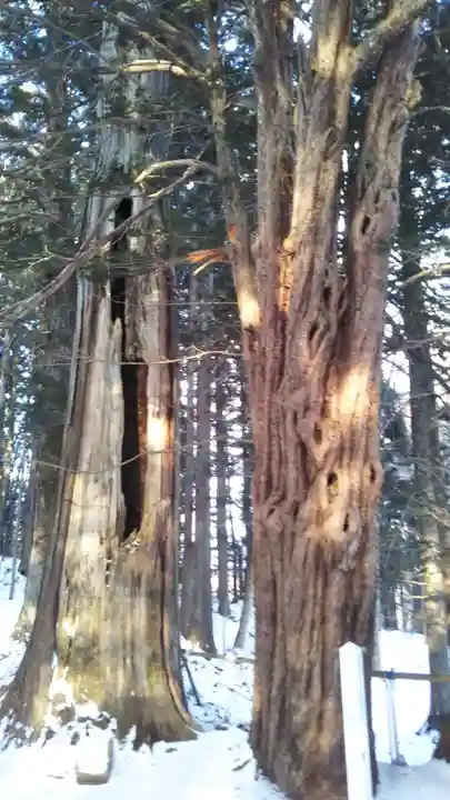 早池峰神社の自然