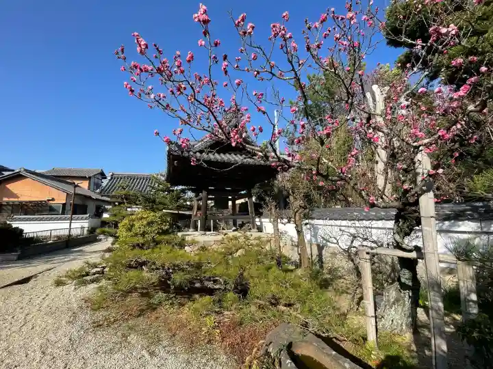誓昌院の{uncategorized: "未分類", other: "その他", undefined: "問題あり", building: "その他建物", grave: "お墓", sacred_gate: "鳥居", guardian: "狛犬", statue: "像", buddha: "仏像", history: "歴史", nature: "自然", garden: "庭園", animal: "動物", pagoda: "塔", temizu: "手水舎", mountain_gate: "山門・神門", sanctuary: "本殿・本堂", subordinate: "末社・摂社", art: "芸術", scenery: "景色", jizo: "地蔵", ema: "絵馬", goshuin: "御朱印", omikuji: "おみくじ", items: "授与品その他", amulet: "お守り", goshuincho: "御朱印帳", eats: "食事", festival: "お祭り", votive_dance: "神楽", shichigosan: "七五三参", wedding: "結婚式", experience: "体験その他", initially: "初詣", around: "周辺", anti_infection: "感染症対策"}