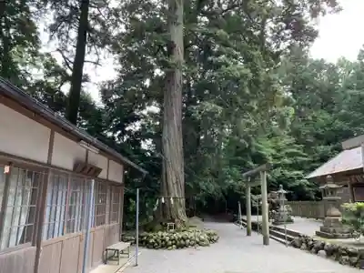佐那神社のその他建物