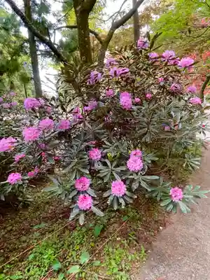 西照神社(徳島県)