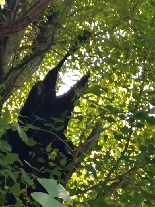 飛木稲荷神社(東京都)