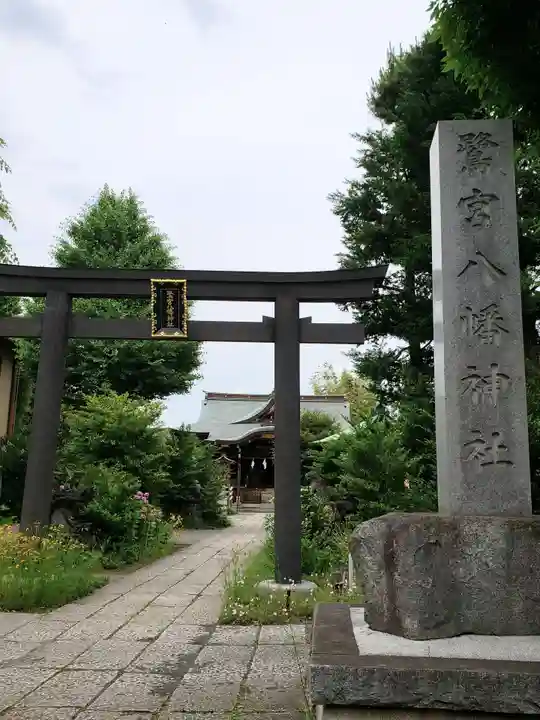 鷺宮八幡神社の鳥居