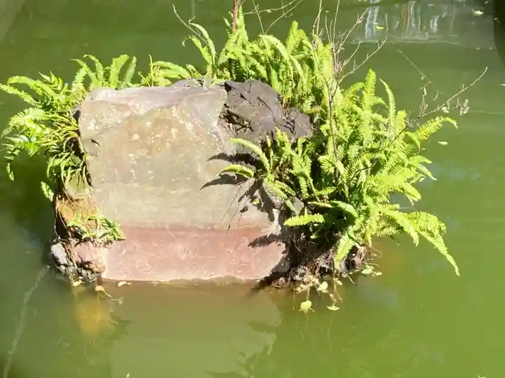 海南神社(神奈川県)