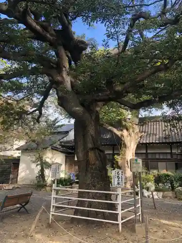 生根神社の自然