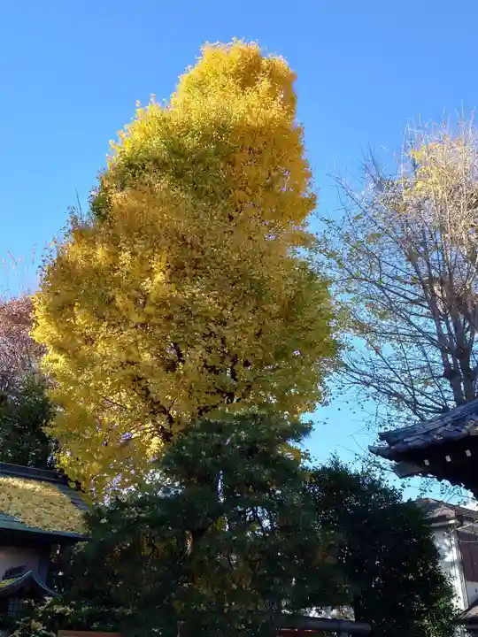 小岩神社(東京都)