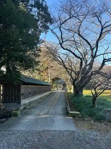 川津来宮神社(静岡県)
