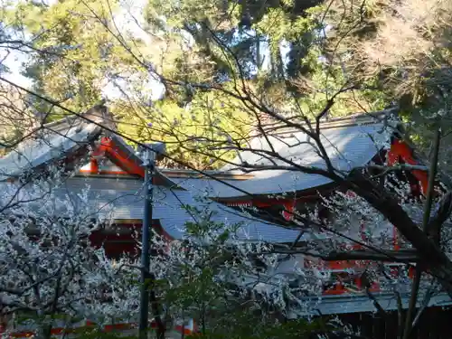 荏柄天神社のその他建物