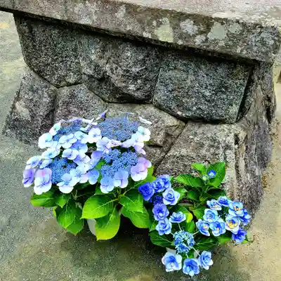 稲荷神社(愛知県)