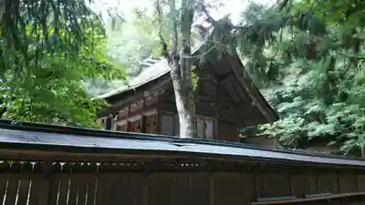 若狭彦神社（上社）の本殿・本堂