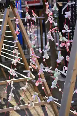 柏神社のおみくじ