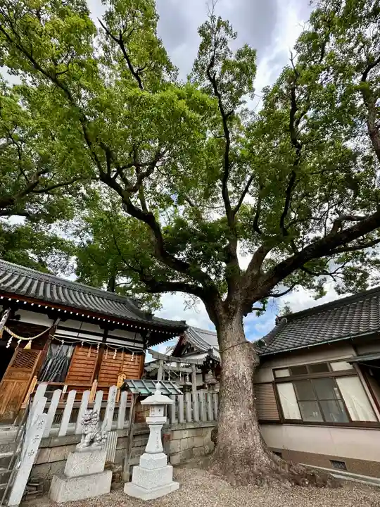 阿保神社(大阪府)