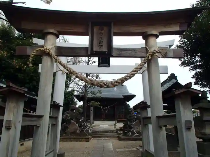 新井宿 子日神社の鳥居