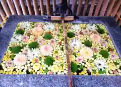 高円寺氷川神社(東京都)