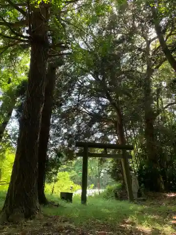 水神社(千葉県)