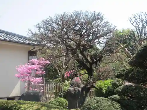 円福寺(神奈川県)