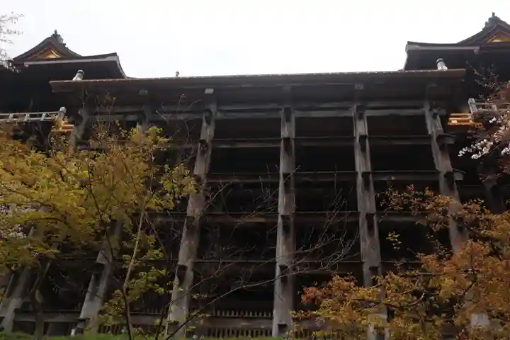 清水寺(京都府)