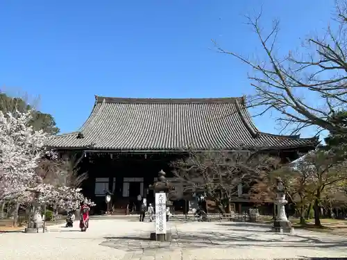 真正極楽寺（真如堂）(京都府)