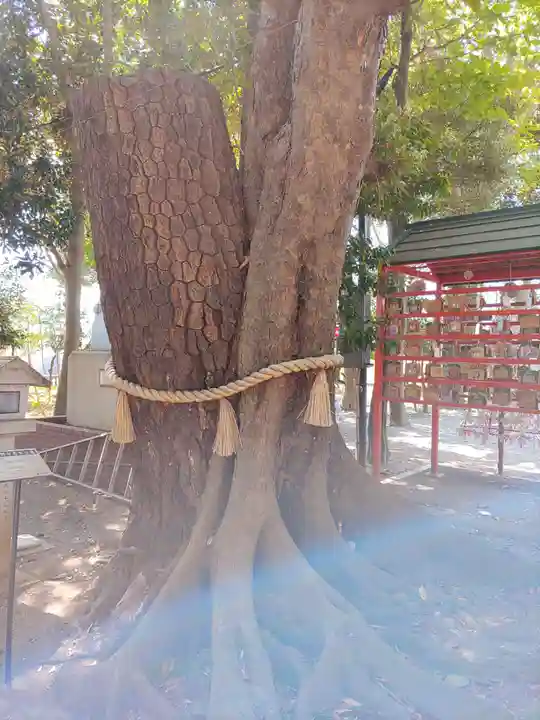 大宮・大原神社(千葉県)