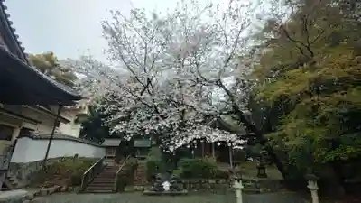 八幡社(愛知県)