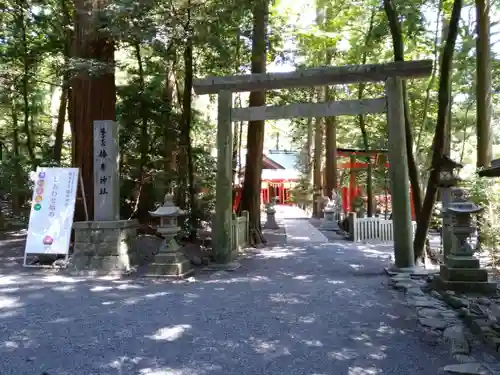 椿大神社の鳥居