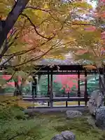 建仁寺(建仁禅寺)(京都府)