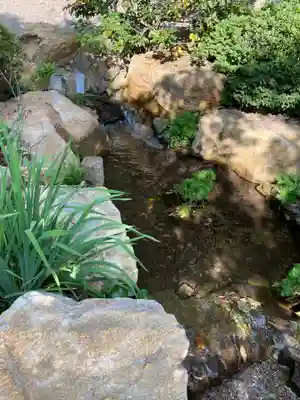 貫井神社(東京都)