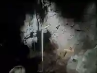 金武宮(沖縄県)