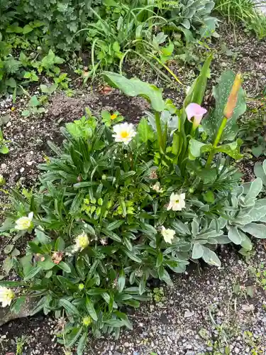 正傅寺(滋賀県)