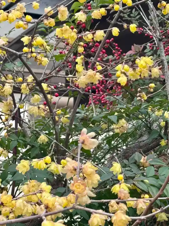 大蓮寺の{uncategorized: "未分類", other: "その他", undefined: "問題あり", building: "その他建物", grave: "お墓", sacred_gate: "鳥居", guardian: "狛犬", statue: "像", buddha: "仏像", history: "歴史", nature: "自然", garden: "庭園", animal: "動物", pagoda: "塔", temizu: "手水舎", mountain_gate: "山門・神門", sanctuary: "本殿・本堂", subordinate: "末社・摂社", art: "芸術", scenery: "景色", jizo: "地蔵", ema: "絵馬", goshuin: "御朱印", omikuji: "おみくじ", items: "授与品その他", amulet: "お守り", goshuincho: "御朱印帳", eats: "食事", festival: "お祭り", votive_dance: "神楽", shichigosan: "七五三参", wedding: "結婚式", experience: "体験その他", initially: "初詣", around: "周辺", anti_infection: "感染症対策"}