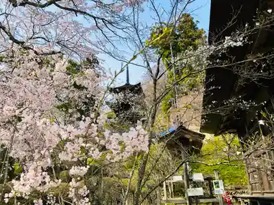 国宝 大法寺(長野県)