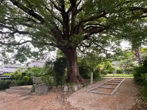 教興寺(大阪府)