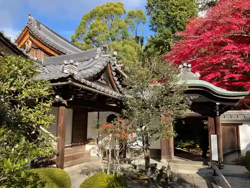 榮攝院（栄摂院）(京都府)