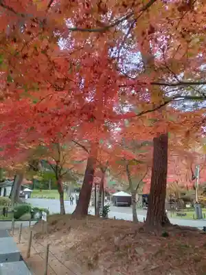 中尊寺(岩手県)
