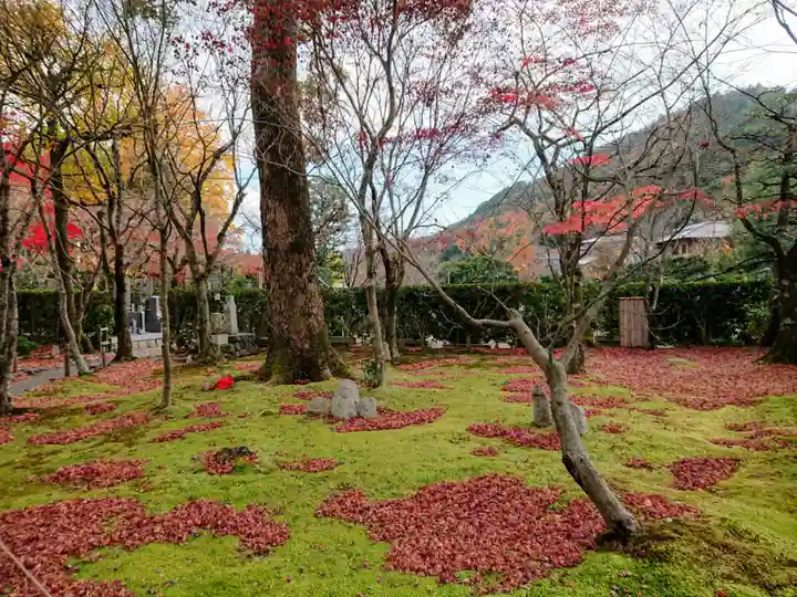 化野念仏寺の庭園