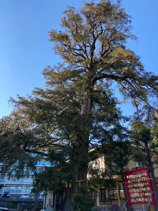 瀬戸神社の自然