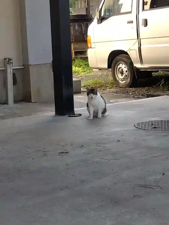 正覚寺(福井県)