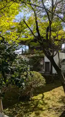 元慶寺(京都府)