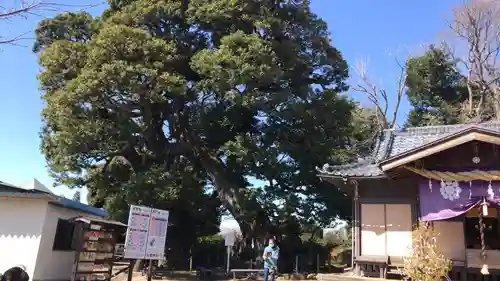 九重神社の自然