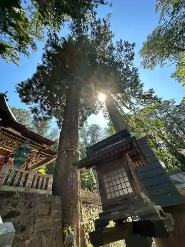 三峯神社(埼玉県)
