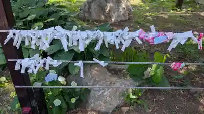 眞久寺のおみくじ