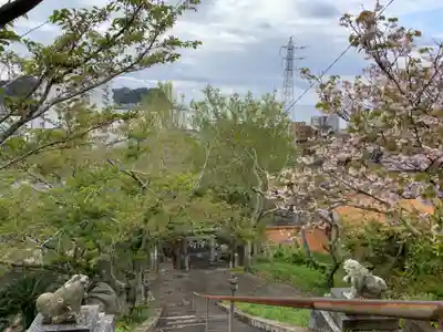 大萩神社(千葉県)