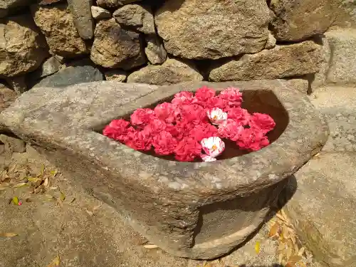 圀勝寺の手水