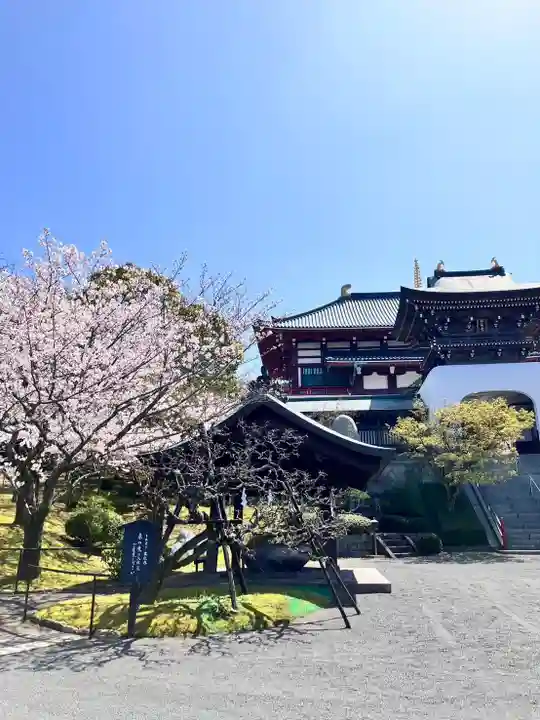 獅子王山妙法寺(佐賀県)