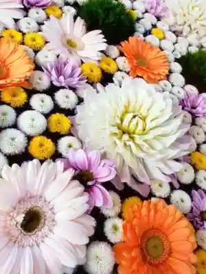 高円寺氷川神社(東京都)