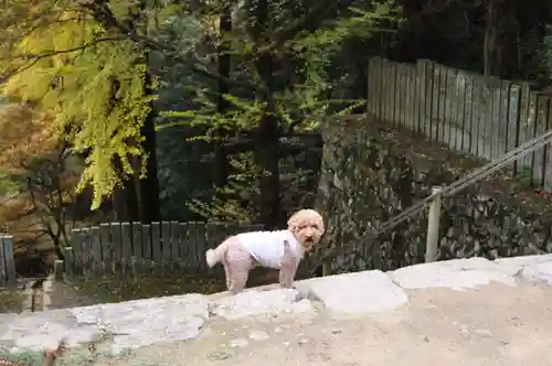 西山興隆寺(愛媛県)