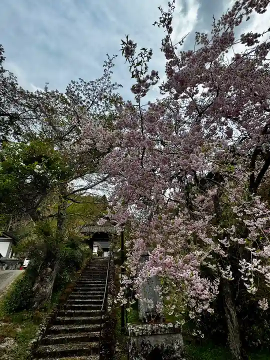福徳寺(京都府)