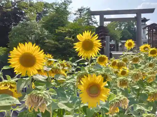 伊勢山皇大神宮(神奈川県)