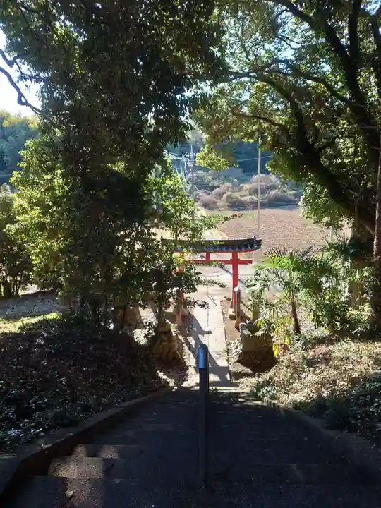 伊古乃速御玉比売神社(埼玉県)