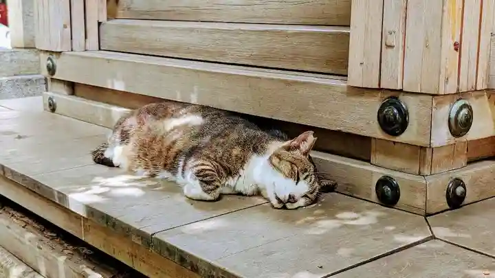 小野照崎神社の動物
