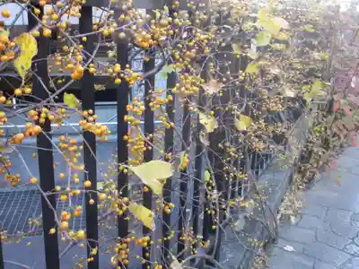 大巧寺(神奈川県)